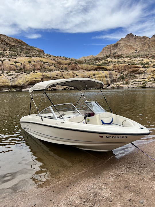 Adequado para famílias - Barco Bayliner Bowrider 175