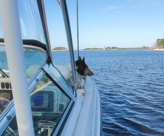 Vea Jacksonville desde el agua | Catamarán a motor Glacier Bay de 26 pies