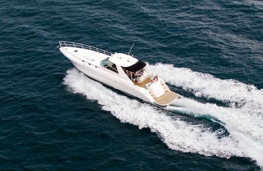Yacht Sea Ray de luxe de 66 pieds à Newport Beach