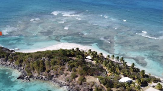 Snorkeling & Boat Experience with Lunch and Drinks!