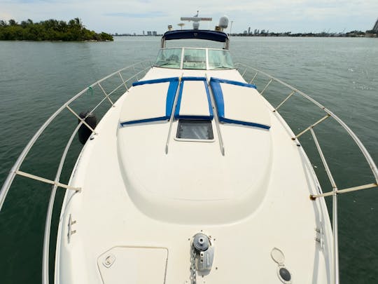 Profitez de Miami avec le yacht à moteur Sundancer de 44 pieds ! ! !