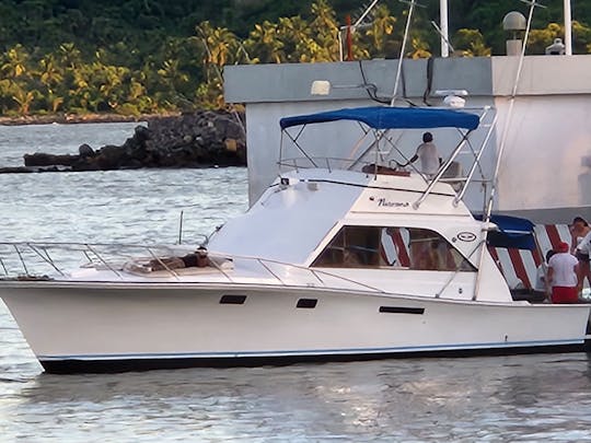 Nirvana 45ft Sport Fishing Yacht in Ixtapa Zihuatanejo