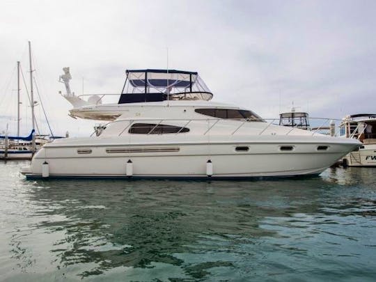Luxurious 52ft Sealine Yacht in San Diego