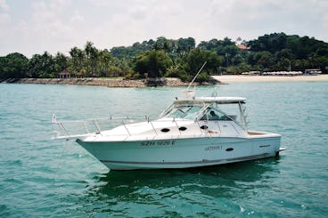 Affordable Private 34ft Yacht Charter