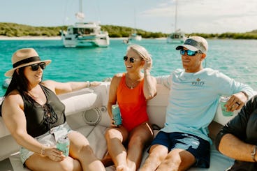 Excursion d'une demi-journée d'île en île à bord d'un bateau régulateur 34 à Saint-Jean, dans les îles Vierges américaines 