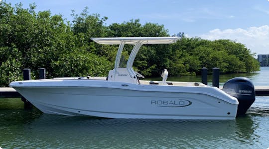 Sea Ray 175 Center Console: Affordable Charter with Crew and Captain!