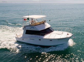 Yacht classique Hatteras de 42 pieds | Croisière et pêche sportive.