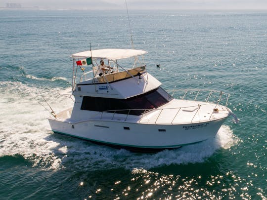 Iate Sportfisher clássico de 42 pés da Hatteras | Cruzeiro e pesca esportiva 