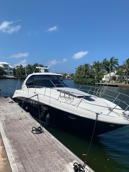 Your perfect day on our 380 Searay, in the Cayman Islands,