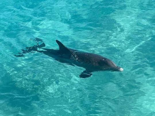 Excursão particular de meio dia de mergulho com snorkel e excursão turística