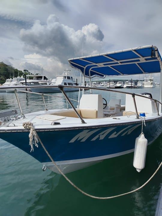 Bateau à moteur amusant pour les sports nautiques Panama City, Panama | Wakeboard, Tube, Fish