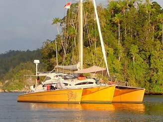 Sailing Trimaran Adventure