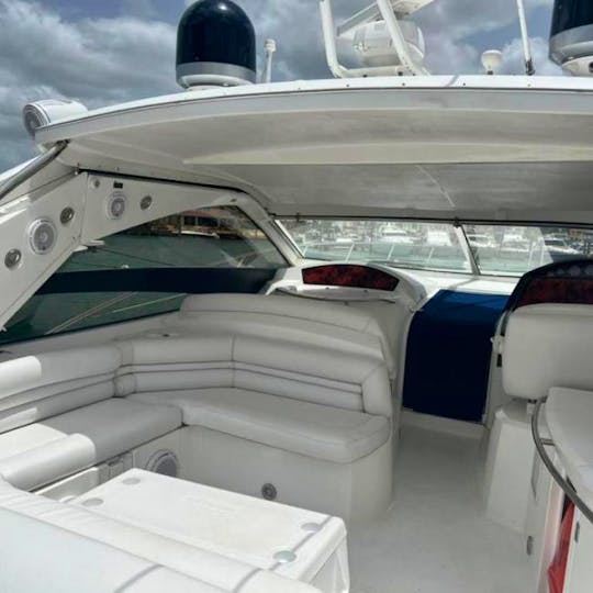 Visit Saona or Catalina island in our 55ft Sunseeker