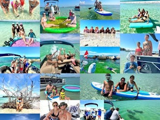 Snorkeling, Sandbar Island Hopping, Manatees & Dolphins Tours