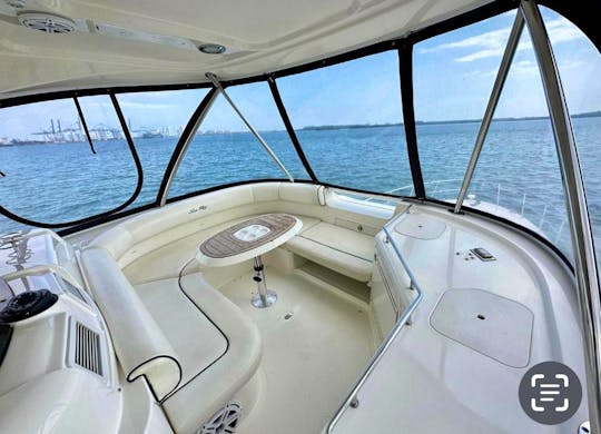 Experience Miami with Sea Ray 60ft Flybridge Yacht !!!