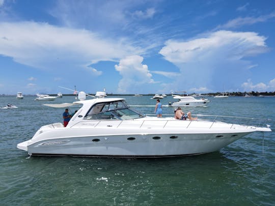 ❤️❤️55' Huge SeaRay Motor Yacht- Best Boat in Miami 😍😊🐬