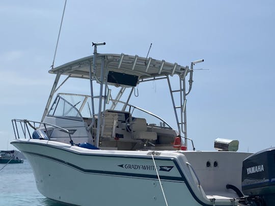 30ft Grady White Boat Trips/Charters in Fajardo