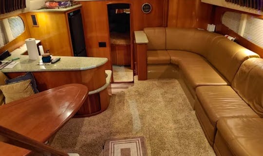 Carver 396 Luxury Yacht for Sunset Trips, Girl Yacht Parties and  more!