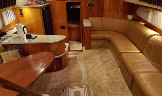 ¡Yate de lujo Carver 396 para excursiones al atardecer, fiestas de chicas en yates y más!