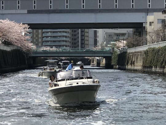 25ft Captained Private Cruising in Tokyo Bay!! Tons of Amazing views!!