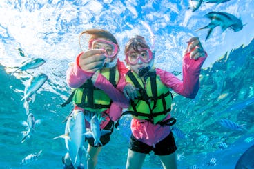 Mergulhe com snorkel e troll no paraíso: frete particular para Minnajima