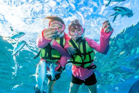 Practica snorkel y troll en el paraíso: chárter privado a Minnajima