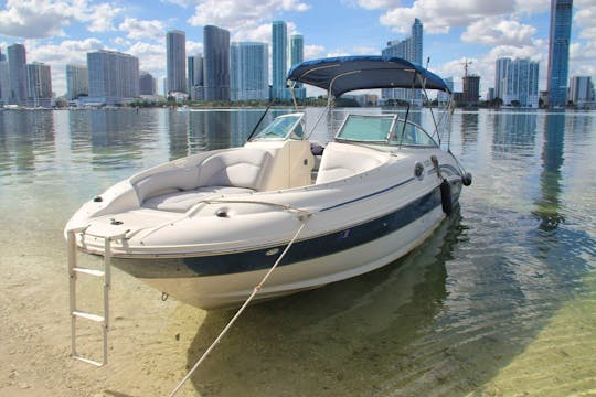 29ft Sea Ray Bowrider For a Day in Miami - Up to 13 guests
