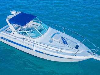 Enjoy DONZl 38FT in Miami!