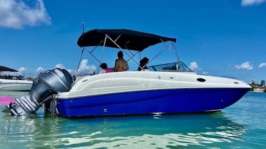 Almoço privado de dia inteiro com churrasco na praia, mergulho com snorkel e excursão turística