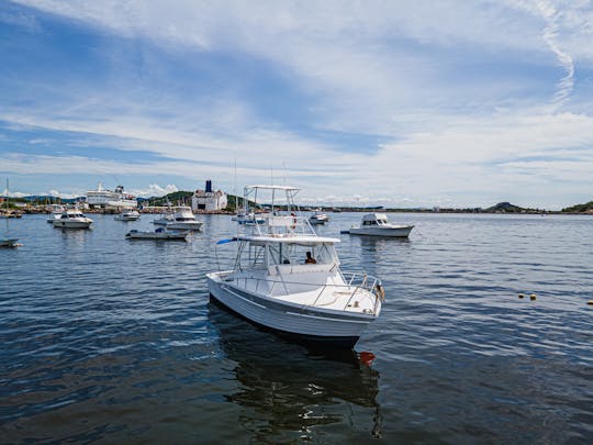 Custom 36 ft Yacht and Sportfishing Charter in Mazatlan