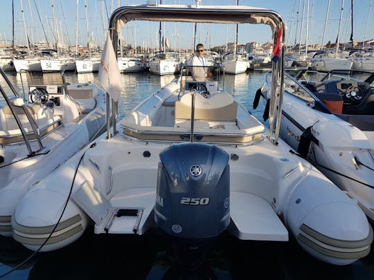 Dia perfeito no mar com BSC RIB de 25 pés