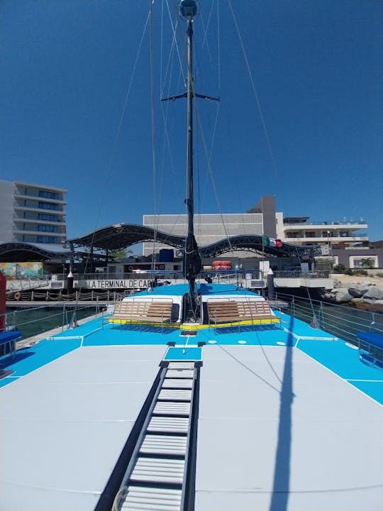 Mergulhe com snorkel em um catamarã e muita diversão, bar aberto e cruzeiro com almoço ou jantar