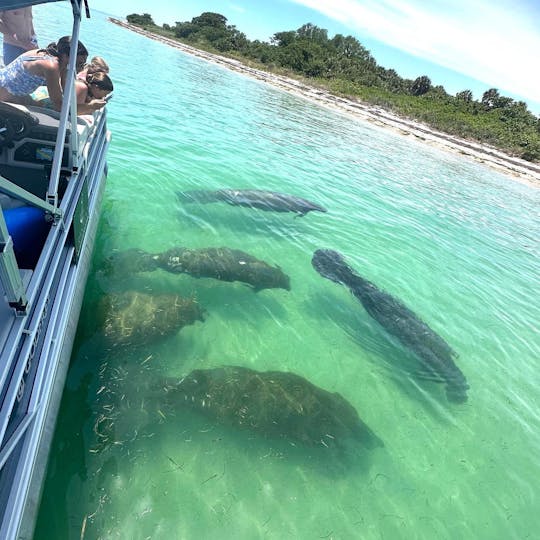 Excursiones para practicar esnórquel, ir de isla en isla, manatíes y delfines