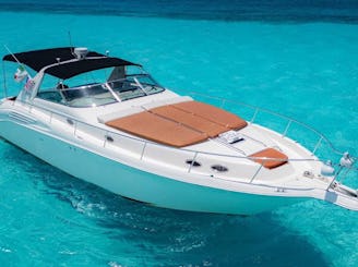 Incredible Sea Ray 46ft + JET SKI (1 hour included on 6 hours or more rental)
