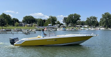 Console centrale de 35 pieds pour les croisières de jour, la pêche dans les grands lacs et les aventures du week-end