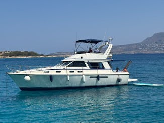 PRINCESS-385 FLY “DAILY CRUISES PERSEUS”