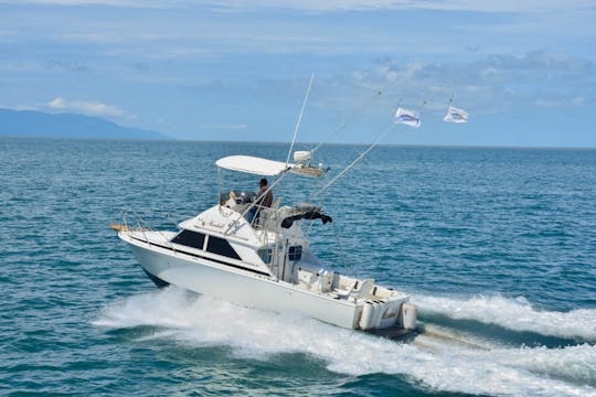 28ft Bertram Private Motor Yacht Rental in Puerto Vallarta, Jalisco