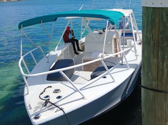 35ft ocean master sightseeing swimming pigs turtles and fishing trips