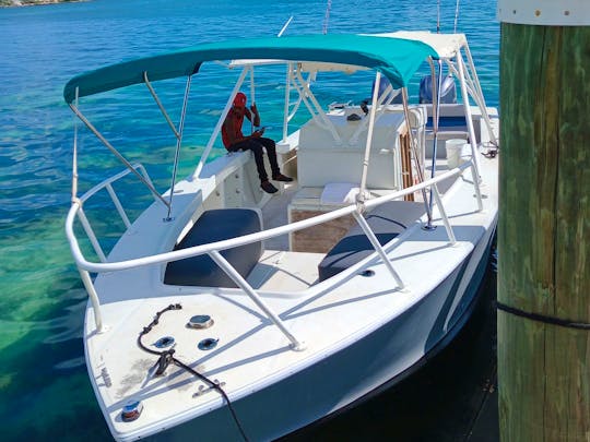 35ft ocean master sightseeing swimming pigs turtles and fishing trips