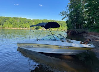 Sea Ray Bow Rider Sport 18ft Long available in Falls Lake