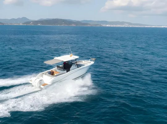 Ibiza Boat 31 2022 - Sleek, Powerful, and Fully Equipped.