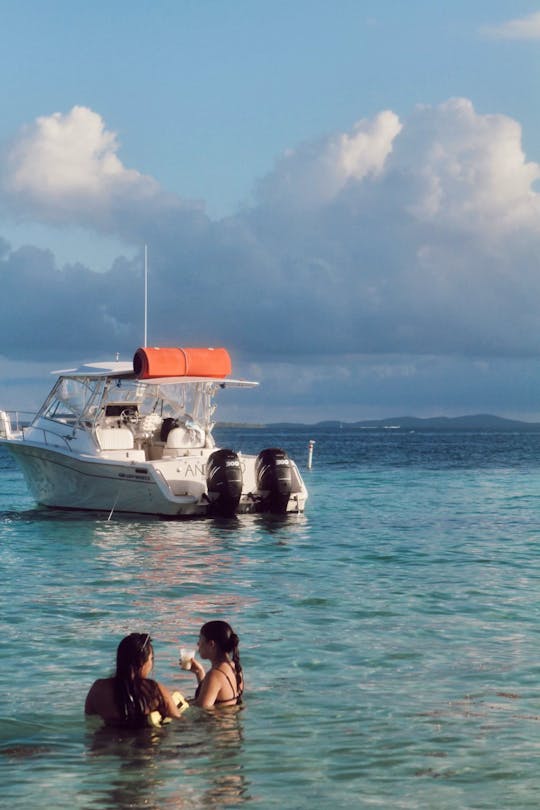 Grady White 33' - Palomino/Icacos - Culebra Vieques (Up to 10 people)
