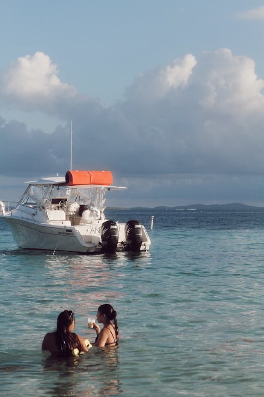 Grady White 33' - Palomino/Icacos - Culebra Vieques (Até 10 pessoas)