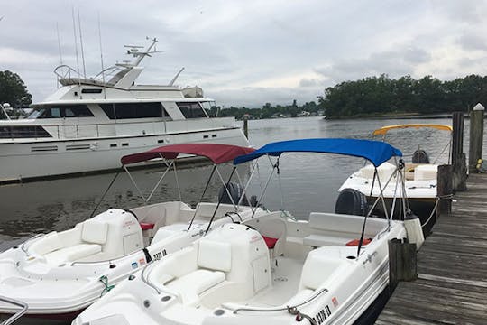 19' Hurricane (S) | Seats 6 | Ready For Adventure On The Chesapeake