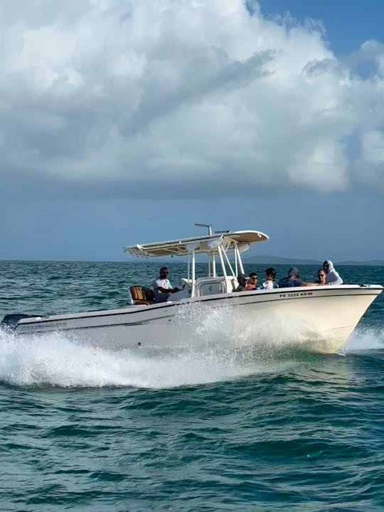 Grady White 28' Private Boat Charter / Trip to Icacos Palomino Vieques (up to 12