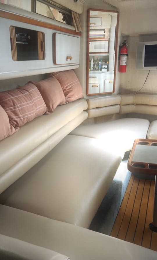 Yacht à moteur Sea Ray de 34 pieds à Boston