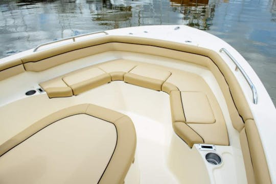 Scout 215 XSF : puissance, performances et design haut de gamme