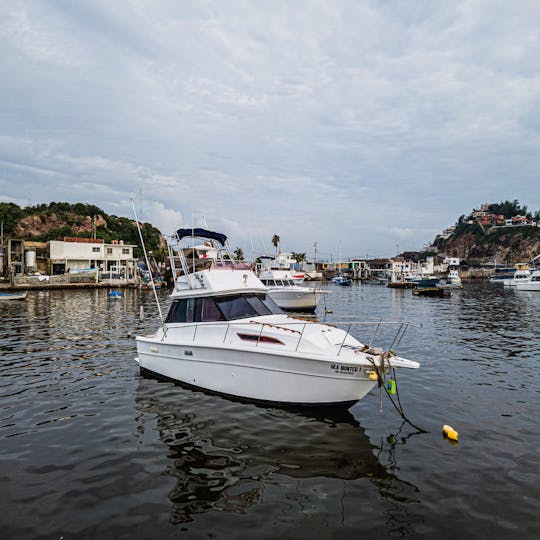 36ft Viking Yacht & Sportfishing Charter in Mazatlan