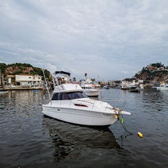 Alquiler de yates vikingos y pesca deportiva de 36 pies en Mazatlán