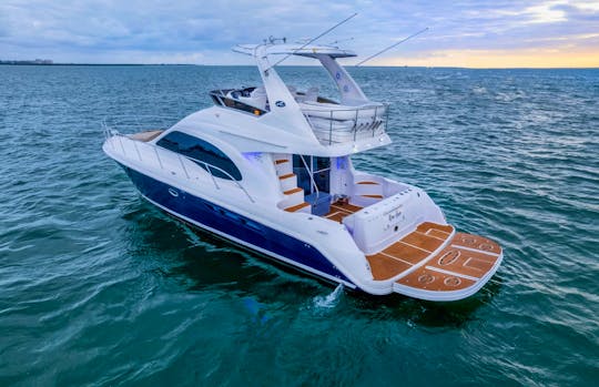 48' SEARAY Motor Yacht  (FREE 1 JETSKI MON-THURS) TIP INCLUDED